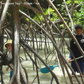 20090416 Andaman Sea Kayak  84 of 148 